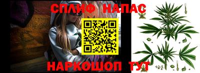 стаф Краснодар