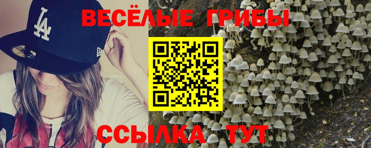Псилоцибиновые грибы Psilocybe  Вход с VPN  Галлюциногенные грибы мухоморы  Клин 