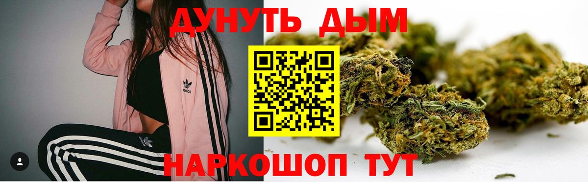 Клин  Шишки марихуана индика  Шишки марихуана семена  Вход с VPN  Канабис White Widow 